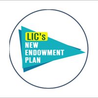 endowment-01