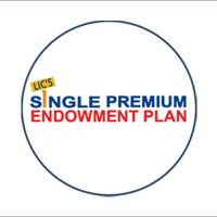 endowment-03